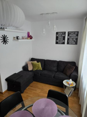 Sunny Apartment Downtown